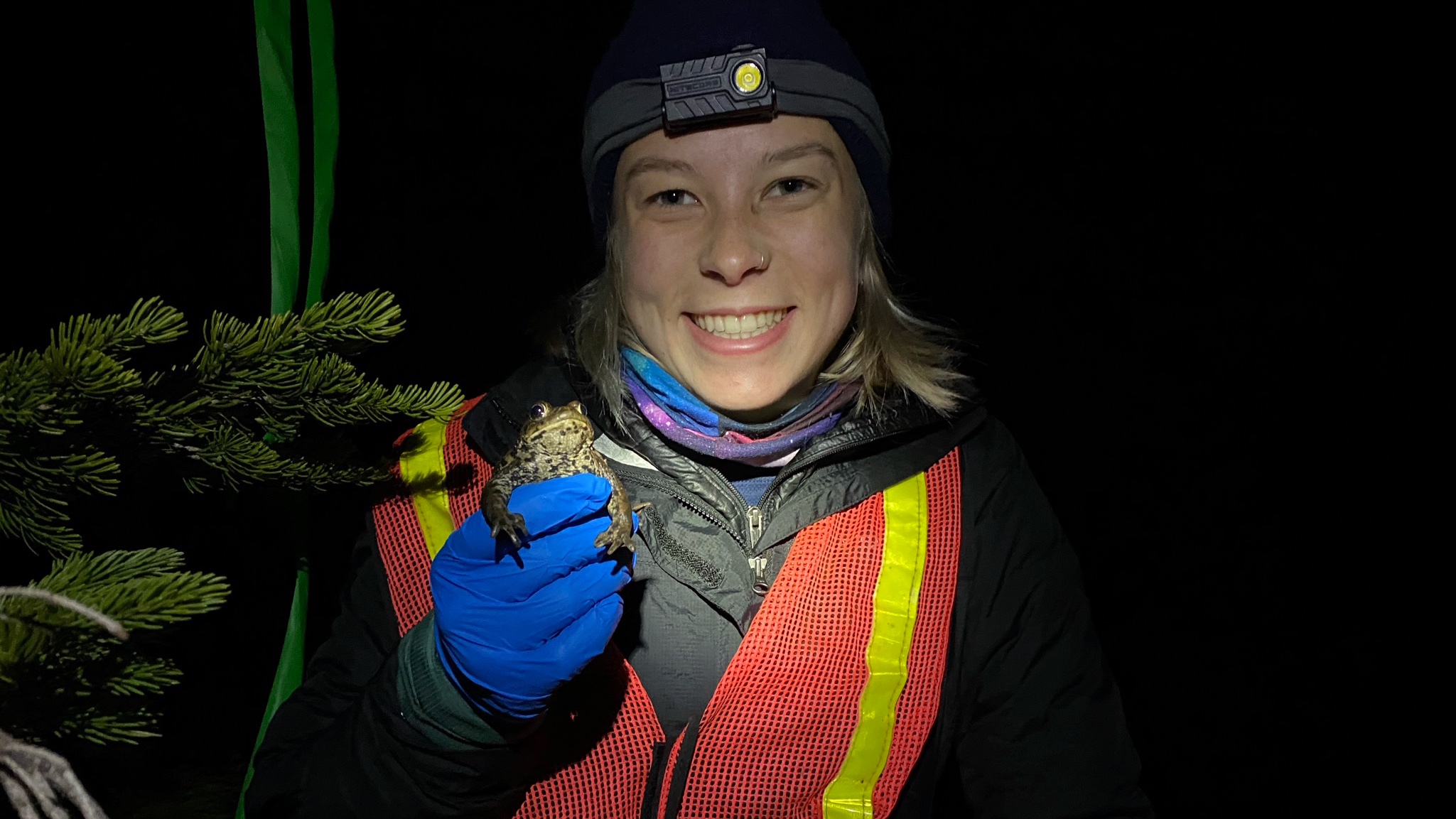 Toads Shape Student’s Conservation Research