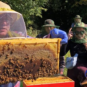 Students Observe Honey Bees_fb