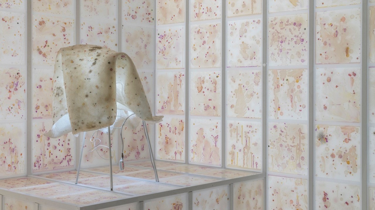 Talk Offers Flavor of Artist’s Olfactory Work