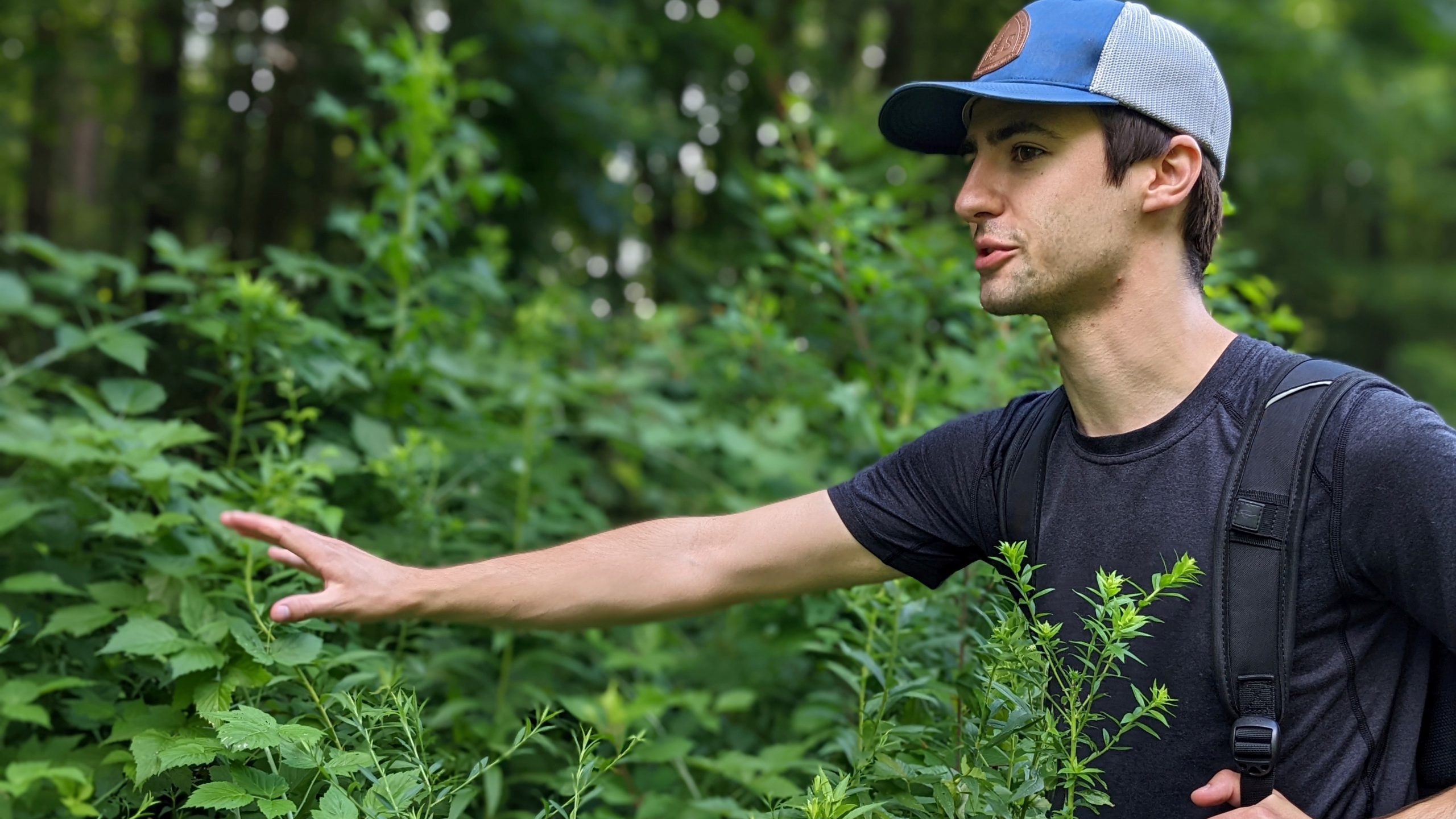 Fellowship, SIP Prompt K Student to Stop and Smell the Wildflowers