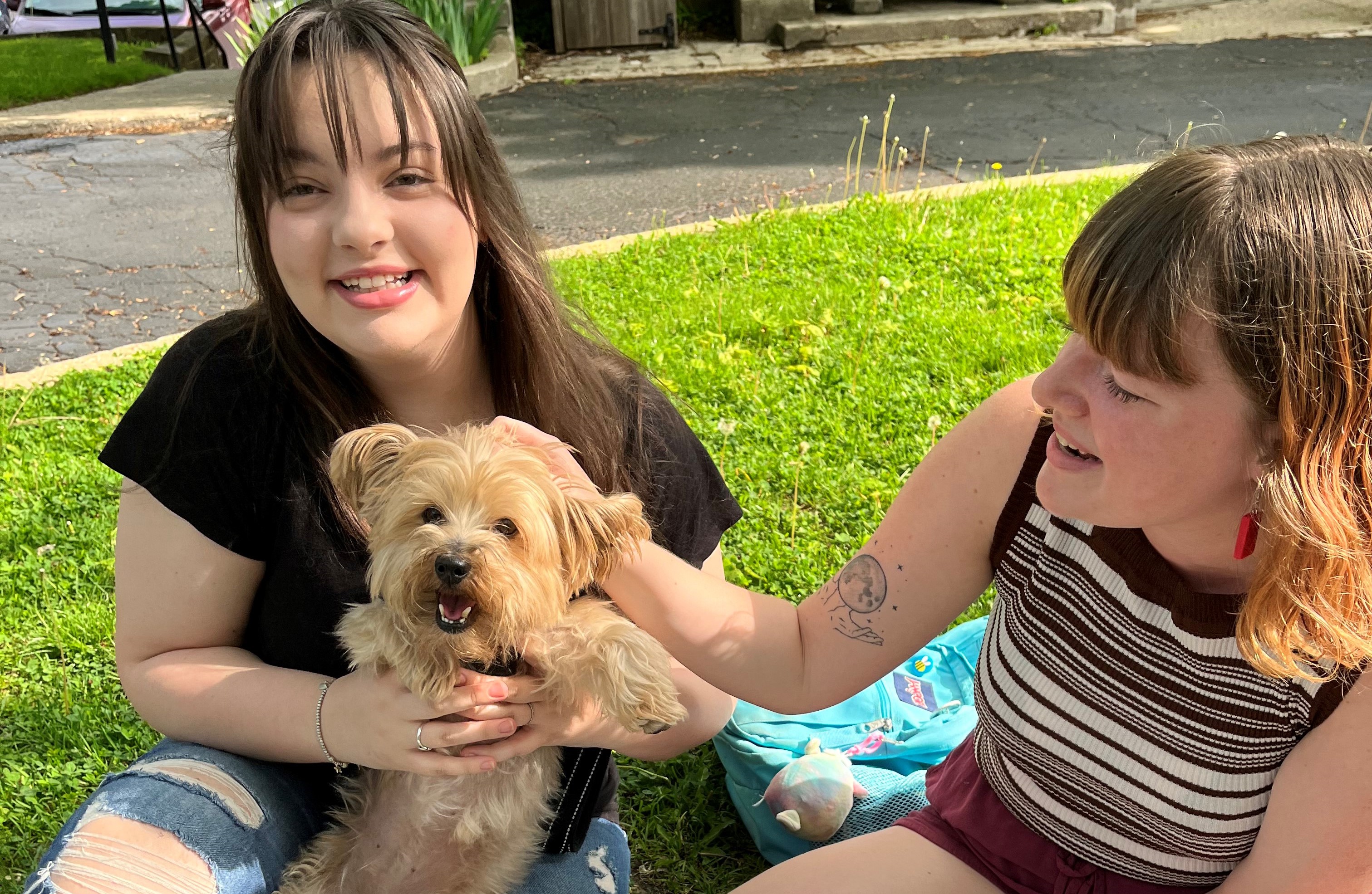 K’s Best Friend: Yorkshire Terrier Leia Makes Friends On Campus and Off