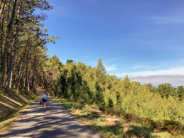 O'Rielly walks along the final stage of the Camino de Santiago through Galicia, Spain