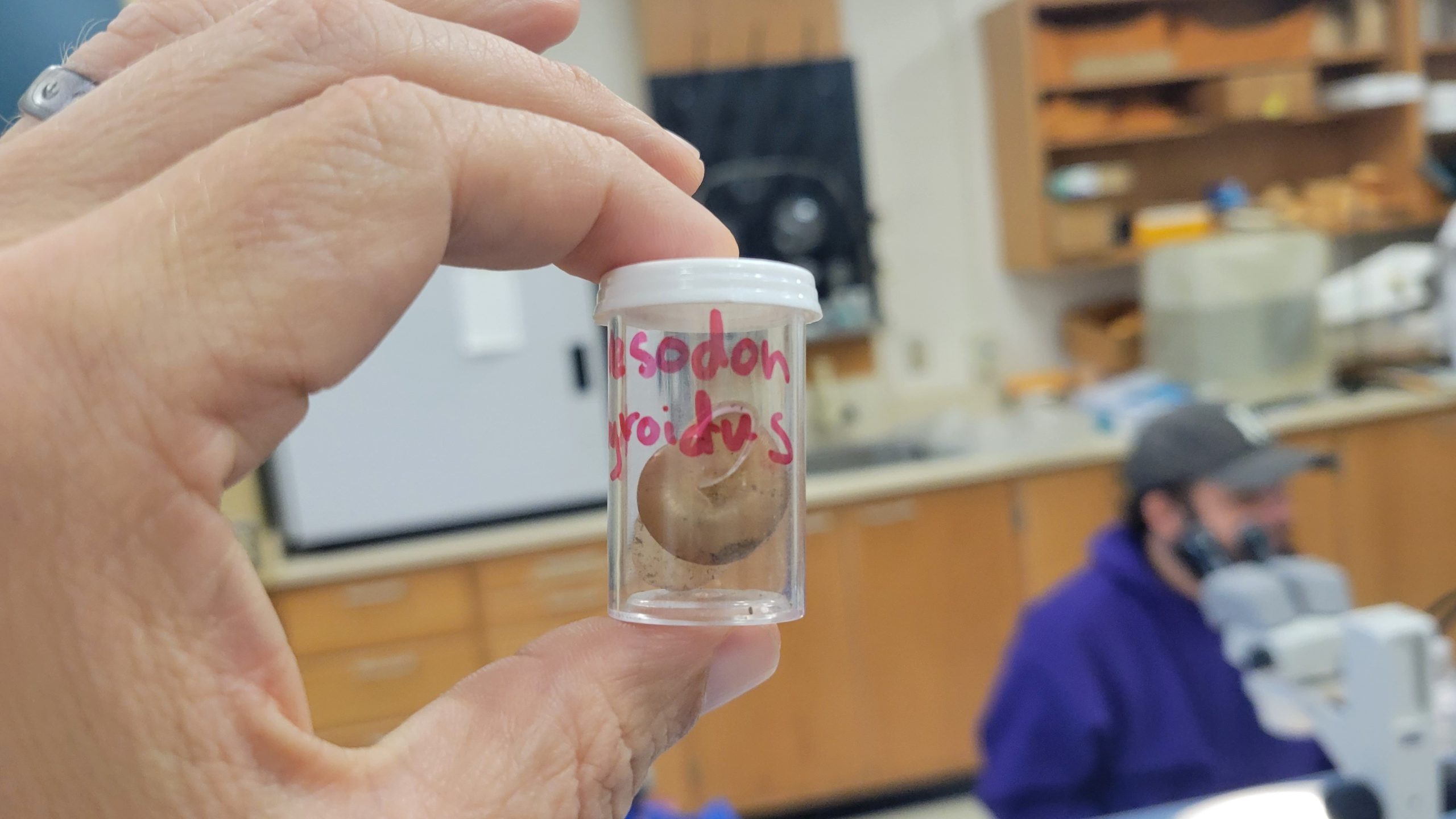 Students Stand up for the ‘Little Guys’ by Researching Land Snails
