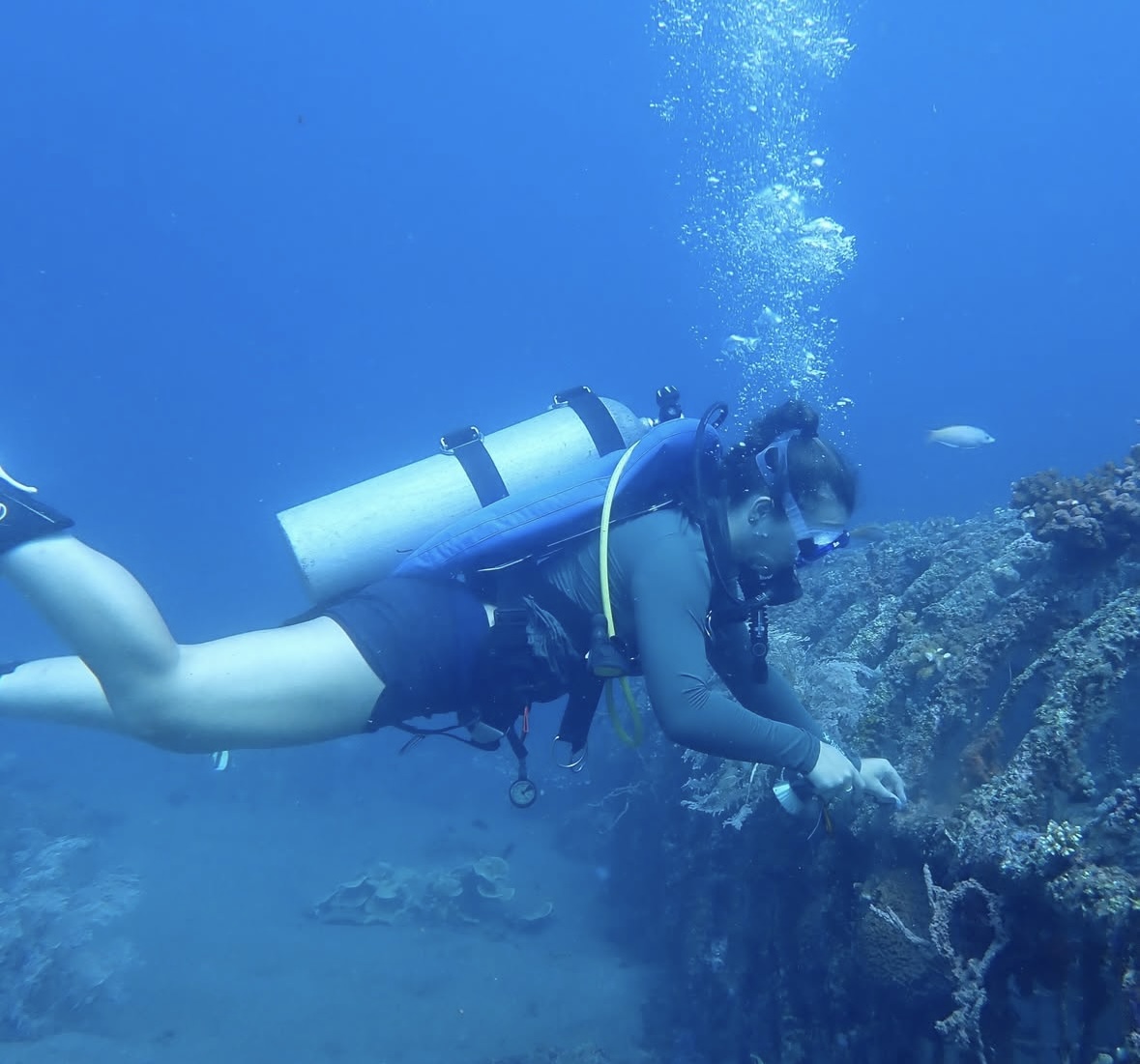 SIP Search Spurs Scuba Skills, Sea Life Science in Philippines