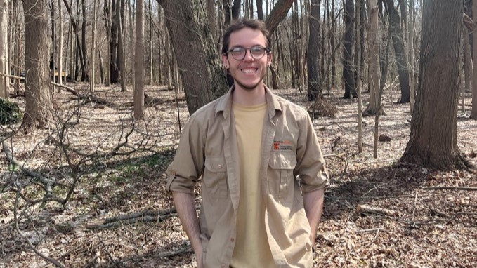 Teamwork Measures the Benefit of a Forest Through the Trees