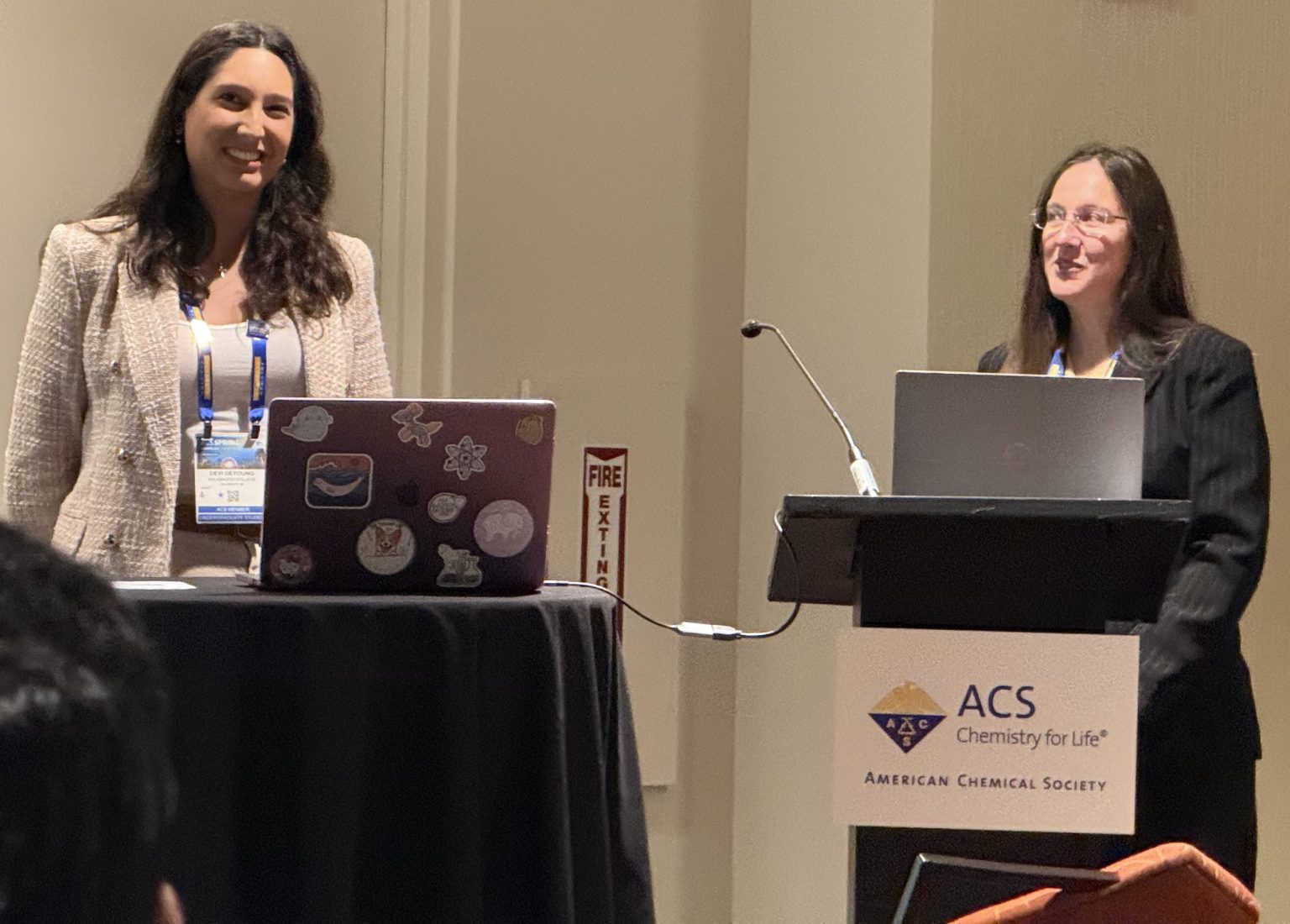 Acs Class ACS Conference Proves K 'Punches Above its Weight Class' - News and Events