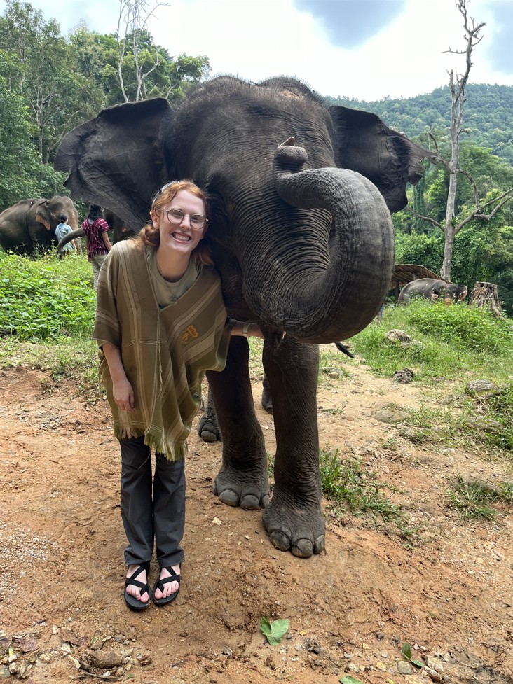 Nat Ward caring for an elephant
