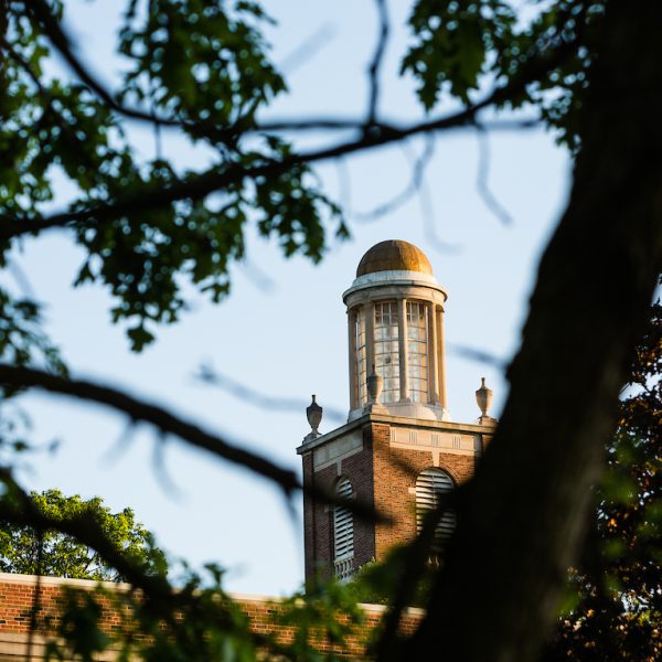 Stetson Chapel dome through trees