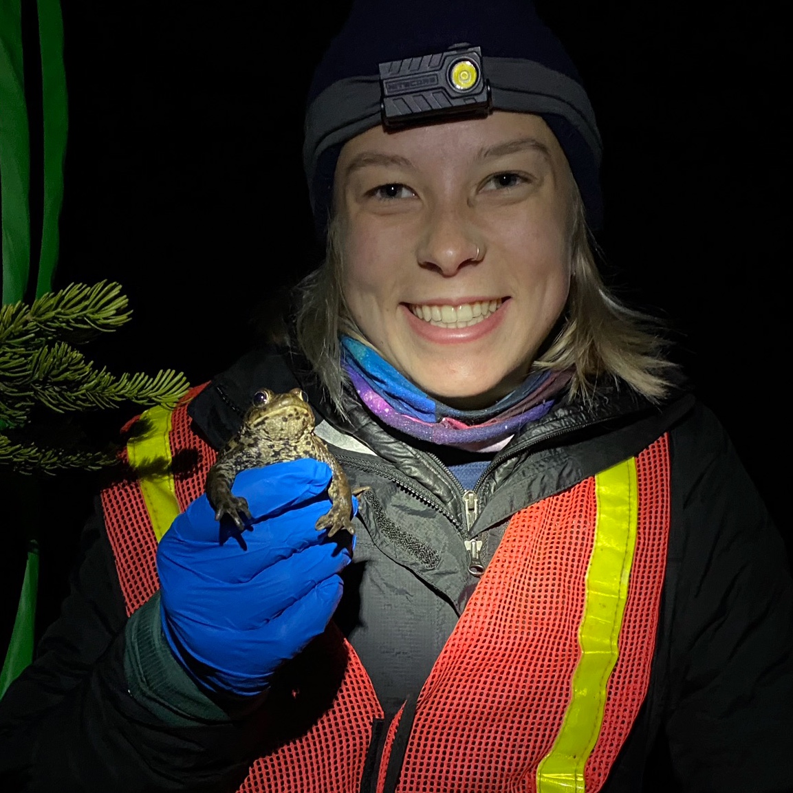 Molly Ratliff with boreal toads at night showcase