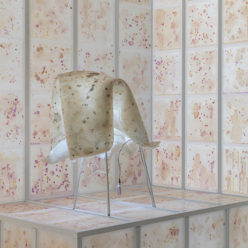 Olfactory Artist_showcase