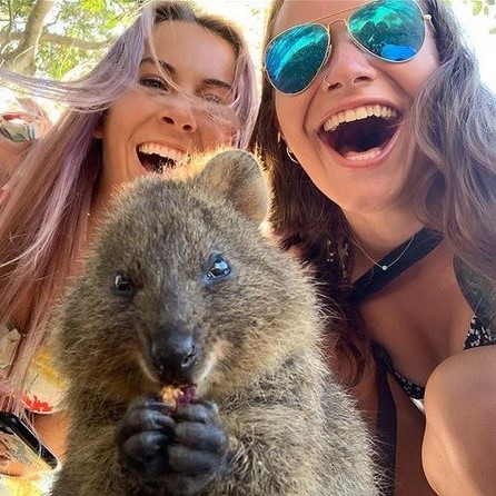 Study Abroad in Australia_showcase