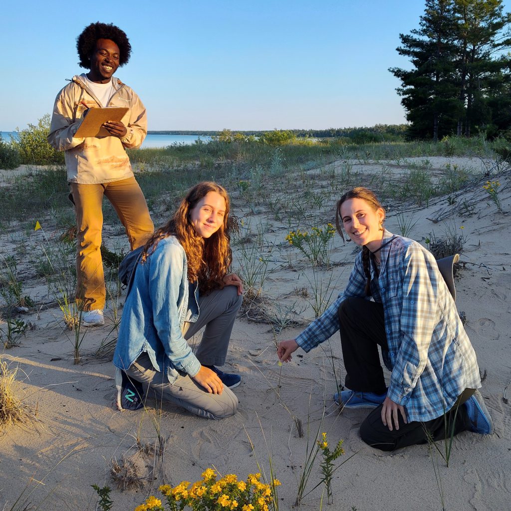 Students research Pitcher's thistle
